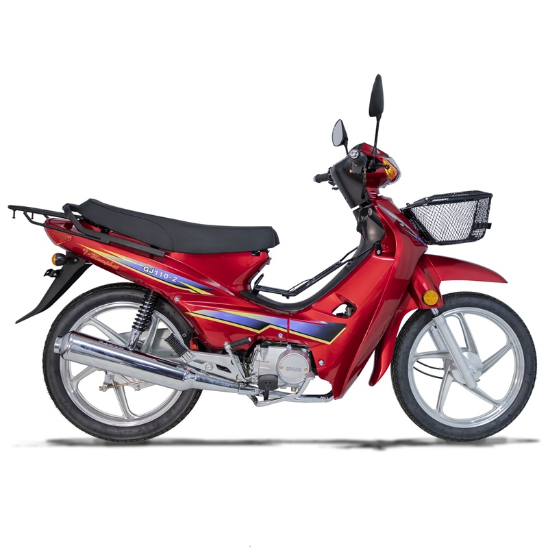 motor motor